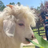 คุยสุภาพเท่านั้น's profile