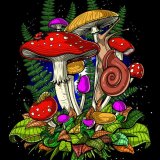Mushrooms's profile
