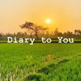 Daily to you's profile