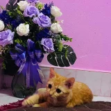 masya's profile