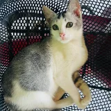 masya's profile