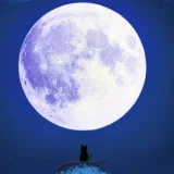 The moon's profile