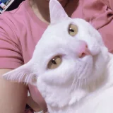 taloyd's profile