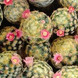 คุยไปเรื่อย สาระไม่มี's profile