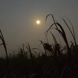 คนคุยสนิทใจ's profile