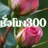 น ว ด's profile