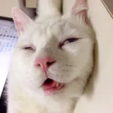 mrsnatty's profile