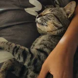 senkung245's profile