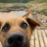 Phromtima's profile