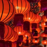 spring festival's profile