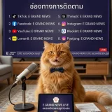 E GRAND NEWS's profile