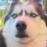 rollwithus's profile