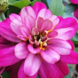 livetrue23's profile