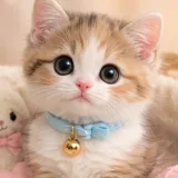 supaporn14's profile