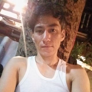 อัลบั้มของ กฏของแรงดึงดูด