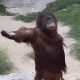 เมย์บีชอบกินกล้วย's profile