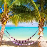 ทะเล's profile