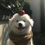 unseenthailand's profile