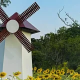 nabangkok2016's profile