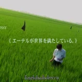 mamochi's profile