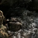 Porkyx13's profile