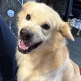 minimim's profile