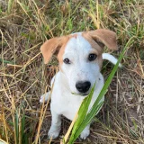 EvaAqua's profile