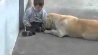สุดซึ้ง!!..ความรักของน้องหมา..ที่มีต่อนู๋น้อยพิการ...(Dog Funny)