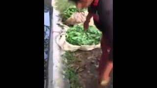 เบื้องหลังการล้างผักแบบอินเดีย - จะกล้ากินไหม