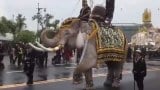 ครั้งนึงในชีวิตต้องดู!!  ช้างอยุธยา11เชือก ถวายอาลัย  ในหลวง  หน้าพระบรมมหาราชวัง ...(เป็นข่าว)