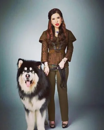 Dogilike.com :: รวมสุนัขทรงเลี้ยงในสมเด็จพระเจ้าลูกเธอ เจ้าฟ้าจุฬาภรณวลัยลักษณ์ อัครราชกุมารี