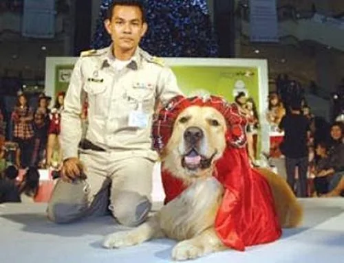 Dogilike.com :: รวมสุนัขทรงเลี้ยงในสมเด็จพระเจ้าลูกเธอ เจ้าฟ้าจุฬาภรณวลัยลักษณ์ อัครราชกุมารี