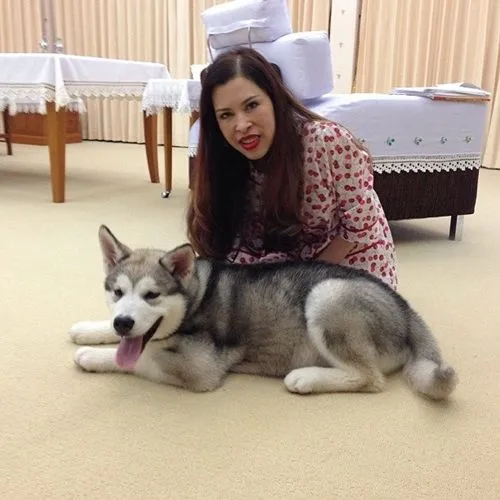 Dogilike.com :: รวมสุนัขทรงเลี้ยงในสมเด็จพระเจ้าลูกเธอ เจ้าฟ้าจุฬาภรณวลัยลักษณ์ อัครราชกุมารี