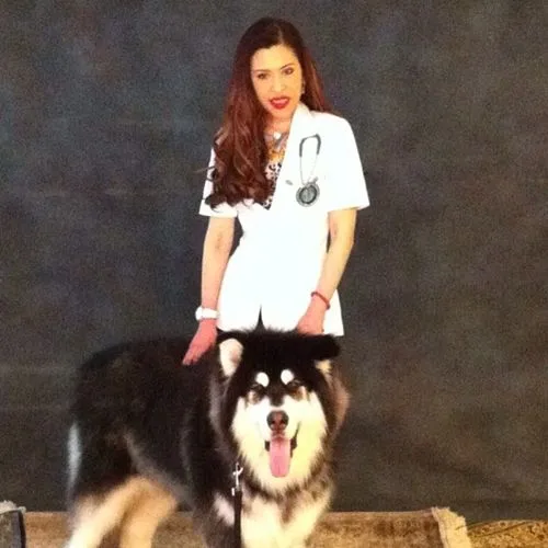 Dogilike.com :: รวมสุนัขทรงเลี้ยงในสมเด็จพระเจ้าลูกเธอ เจ้าฟ้าจุฬาภรณวลัยลักษณ์ อัครราชกุมารี