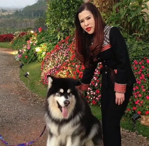 Dogilike.com :: รวมสุนัขทรงเลี้ยงในสมเด็จพระเจ้าลูกเธอ เจ้าฟ้าจุฬาภรณวลัยลักษณ์ อัครราชกุมารี