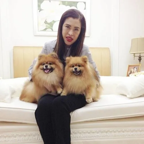Dogilike.com :: รวมสุนัขทรงเลี้ยงในสมเด็จพระเจ้าลูกเธอ เจ้าฟ้าจุฬาภรณวลัยลักษณ์ อัครราชกุมารี