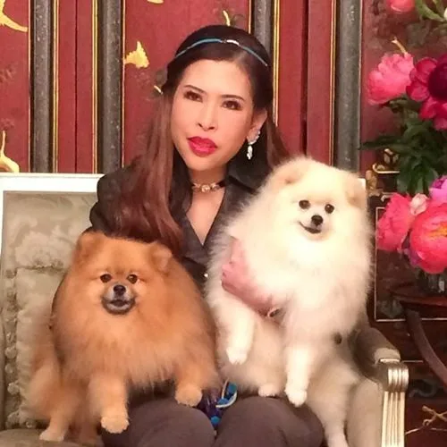 Dogilike.com :: รวมสุนัขทรงเลี้ยงในสมเด็จพระเจ้าลูกเธอ เจ้าฟ้าจุฬาภรณวลัยลักษณ์ อัครราชกุมารี