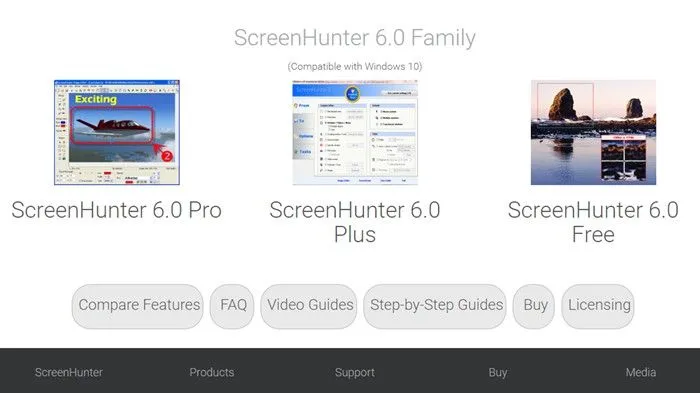 ScreenHunter Pro