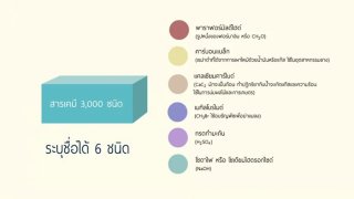 จากเหตุการณ์สารเคมีที่ท่าเรือคลองเตยระเบิดเมื่อปี2534
