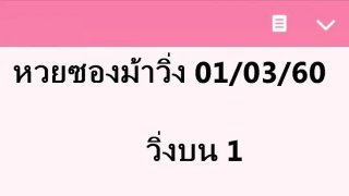 สำหรับคนชอบเสี่ยง! หวยซองม้าวิ่ง 1 มีนาคม 2560