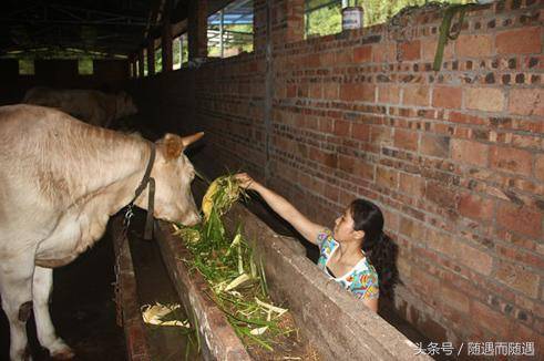 ใจเธอมันน่ากราบ!!! สาวพิการ…ที่ชีวิตนี้สู้และอดทนทำทุกอย่างจนมีเงินเก็บหลายล้าน