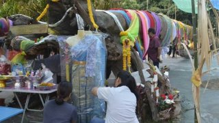 งวดนี้มีเลขเด็ด! หวยเจ้าแม่ตะเคียน วัดท่าดอกแก้วเหนือ จังหวัดนครพนม