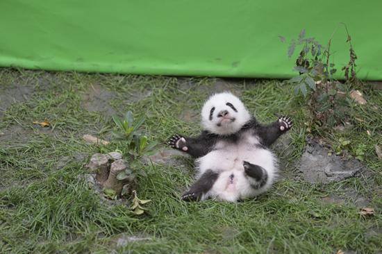 รวมมิตรความฮา ตามประสาสัตว์โลกน่ารัก ที่เหล่าคนรักสัตว์ต้องยิ้มตาม