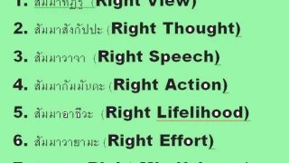 ทุกข์มาก แก้โดยกินเหล้า หรือ ฆ่าตัว หรือ จะทำ มรรค8