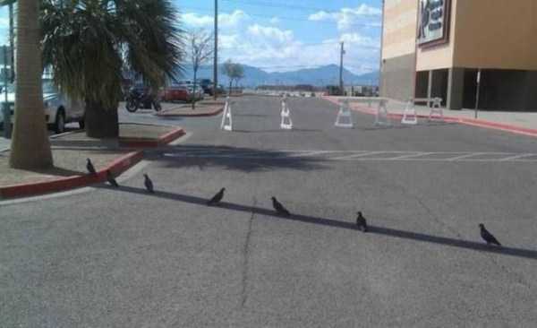 ภาพตลกเพื่อเตรียมพร้อมสำหรับฤดูร้อน