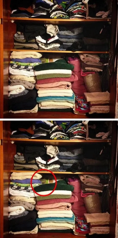 มาตามหาแมวที่หายไปกัน !!! เจ้าเหมียวใช้วิชาพรางตัว จนเจ้าของหาแทบไม่เจอ