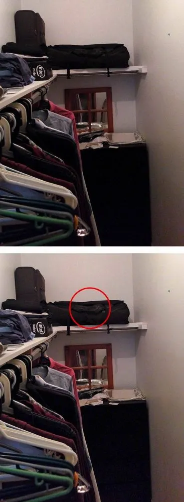 มาตามหาแมวที่หายไปกัน !!! เจ้าเหมียวใช้วิชาพรางตัว จนเจ้าของหาแทบไม่เจอ