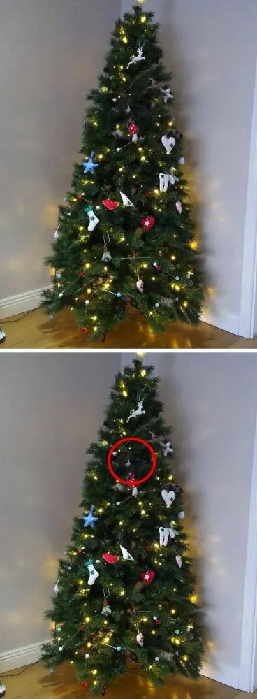 มาตามหาแมวที่หายไปกัน !!! เจ้าเหมียวใช้วิชาพรางตัว จนเจ้าของหาแทบไม่เจอ