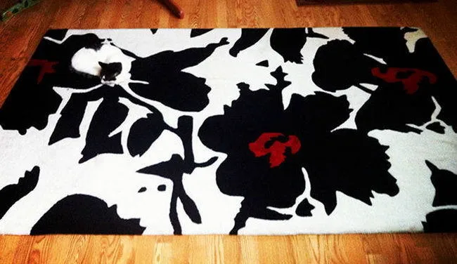 มาตามหาแมวที่หายไปกัน !!! เจ้าเหมียวใช้วิชาพรางตัว จนเจ้าของหาแทบไม่เจอ