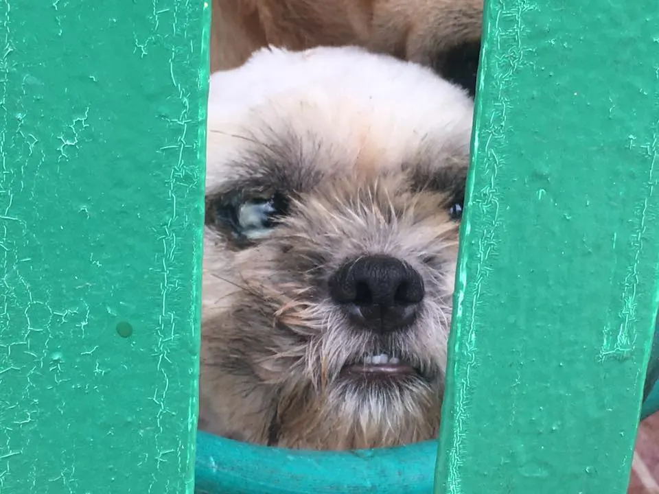 ไม่มีข้อความกำกับภาพอัตโนมัติ